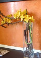 Orchidea gialla per la casa della sposa