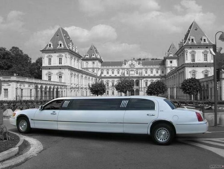 Limousine white  - Fs Concept snc
