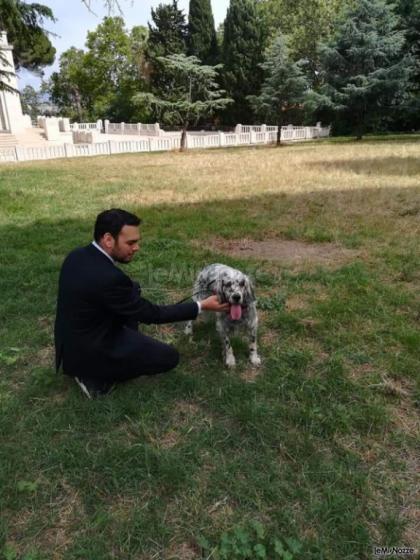 Wedding Dog Sitter in action di Le Cat & Dog Sitter Roma