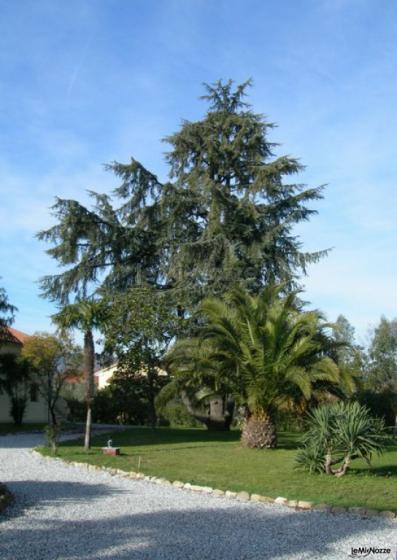 Il giardino della villa - Villa Pratola