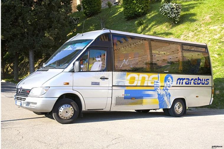 Minibus - Marebus
