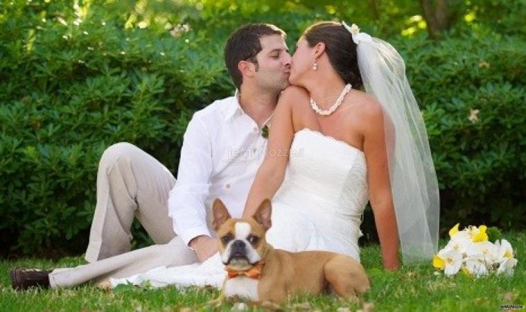 Fabrizio Maggio Dog Trainer - Il matrimonio tutti insieme