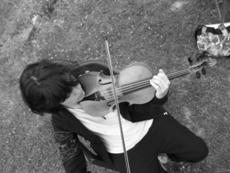 Violino per matrimoni a Siena