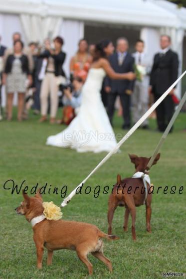Lancio del bouquet - Wedding dogsittervarese