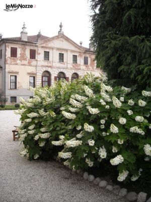 Viale d'ingresso e giardino della villa - Villa Da Porto Slaviero