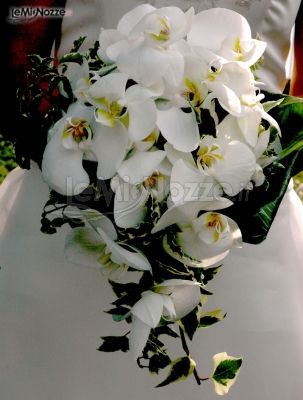 Bouquet di fiori bianchi per la sposa