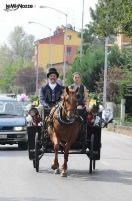 Carrozza con cavallo per il matrimonio