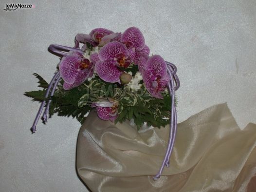 Orchidee per il matrimonio