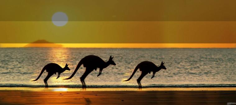 Australia il continente lontano che da sempre affascina.