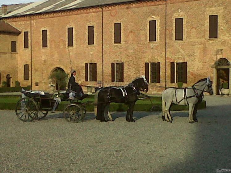 Azienda Marocco - Carrozza landau con cavalli ungheresi e frisoni