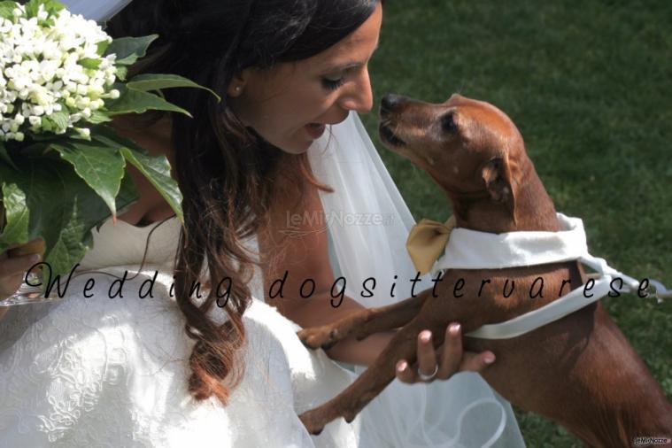 Con la sposa - Wedding dogsittervarese
