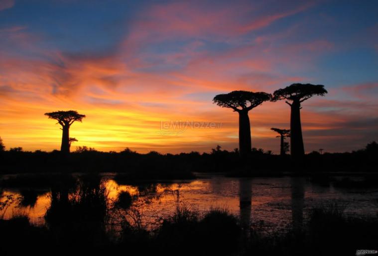 Madagascar - Una terra da scoprire