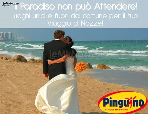 Pinguino Viaggi Baronissi a Salerno - Viaggi di nozze