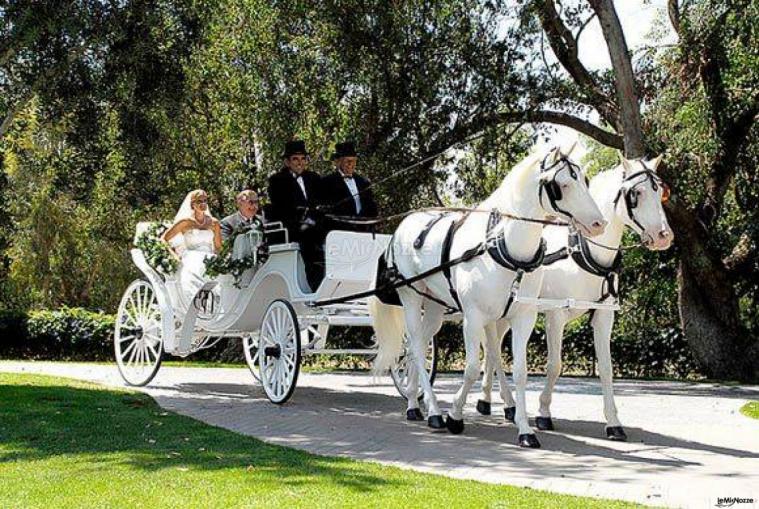 Autoservizi Rolls Service - La carrozza con i cavalli bianchi per il matrimonio