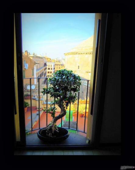 Panorama della grande bellezza - Alberoantico Bonsai Roma