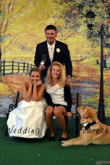 Ritratto - Wedding dogsittervarese