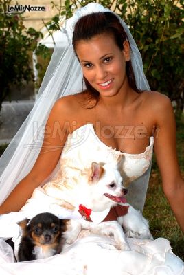 La sposa con i suoi amici a 4 zampe