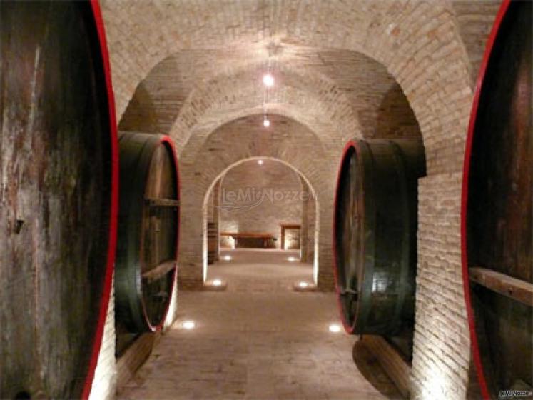 Le botti della prestigiosa azienda vinicola Spalletti Colonna