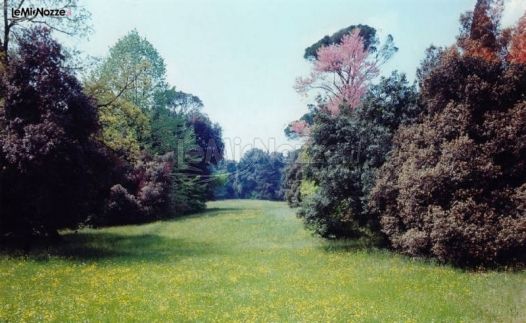 Parco antica fattoria Frassanelle a Padova
