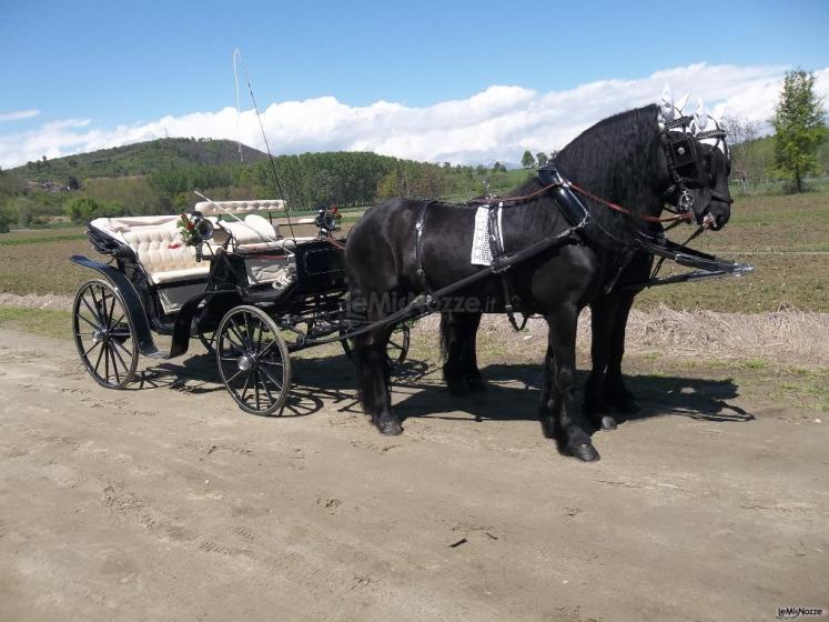 Azienda Marocco - Carrozza con cavalli frisoni