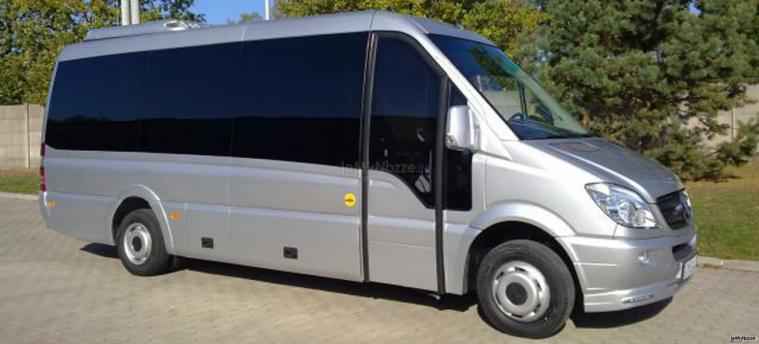 Minibus - Royal Service