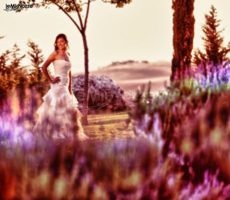 Alessio Falzone Fotografo - Sposa in un campo fiorito