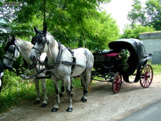 Carrozza con cavalli per l'arrivo degli sposi