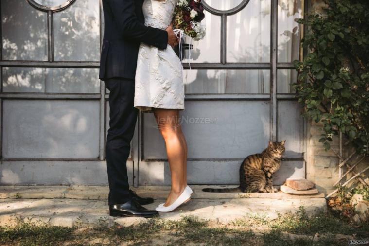 Agriturismo il Melo Rosso - Dettaglio degli sposi con il gatto