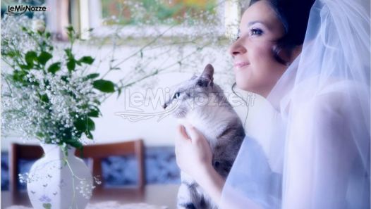 Foto Fashion di Francesco Rimmaudo - Una sposa con il suo gattino