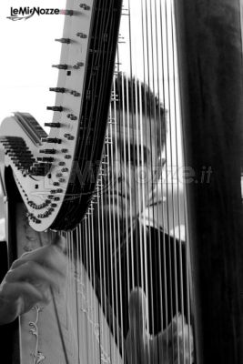 Andrea Bonaldo mentre suona l'arpa ad un ricevimento
