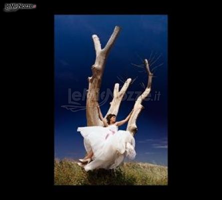 Foto Giattino - Particolare immagine di una sposa su un albero