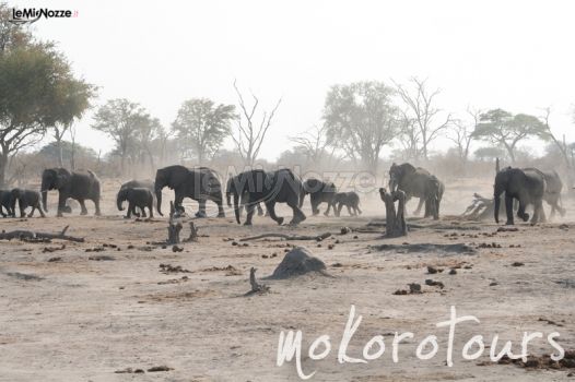 Mokoro Tours - Agenzia per viaggi di nozze in Africa