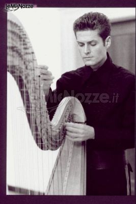 Andrea Bonaldo mentre suona la sua arpa
