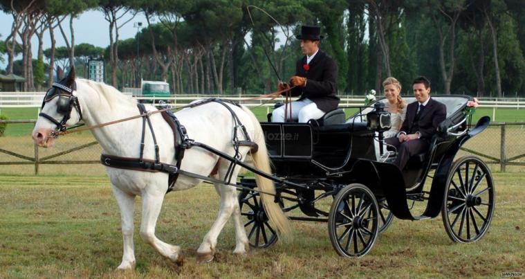 Special Car - L'originalità del Calesse