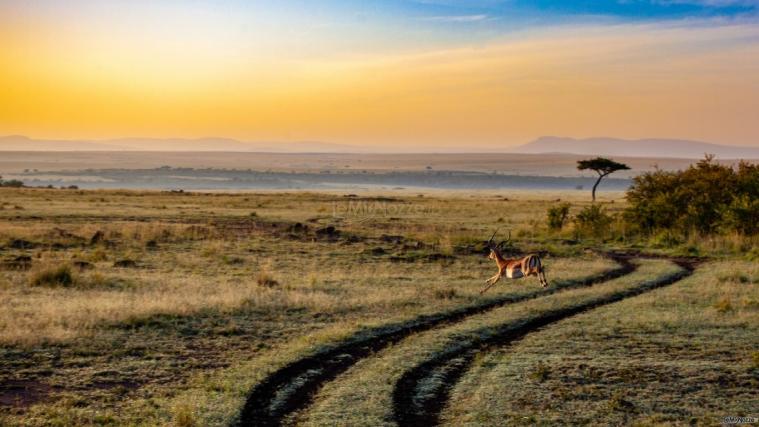 Trendviaggi - Safari Africa