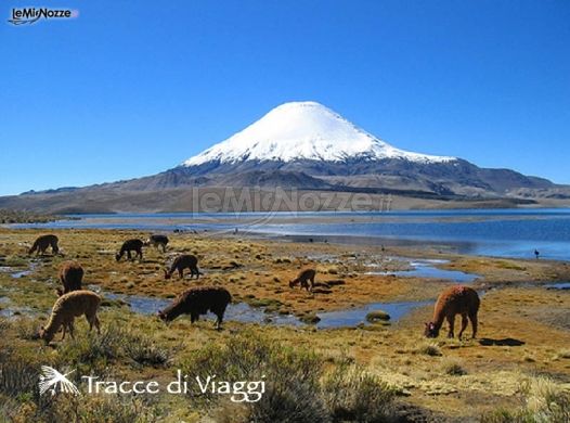 Viaggio di nozze in Cile