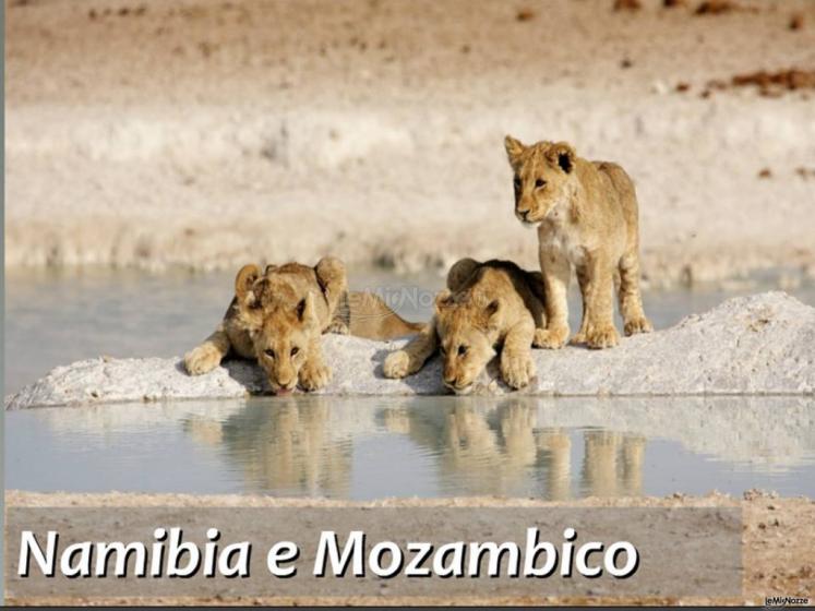 namibie e mozambico
