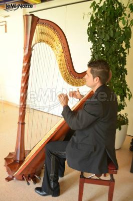 Intrattenimento musicale al matrimonio con arpa