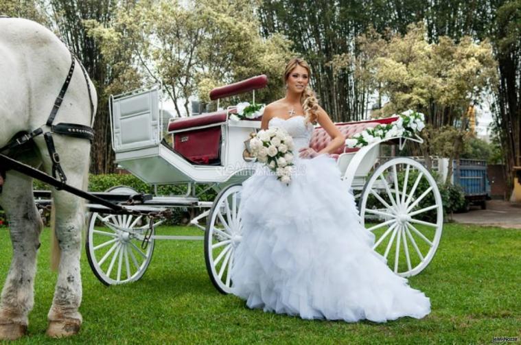 Matrimonio da favola - La carrozza