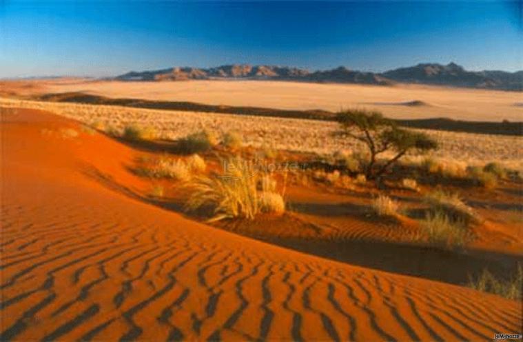 Valeria Lazzarini CartOrange - I paesaggi della Namibia