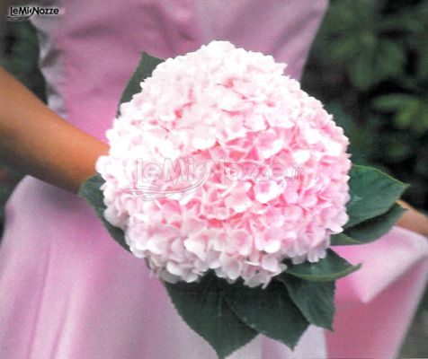 Il bouquet della sposa di ortensie rosa