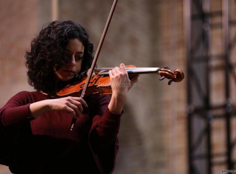 Sofia Duo Violino e Fagotto - Violino solo