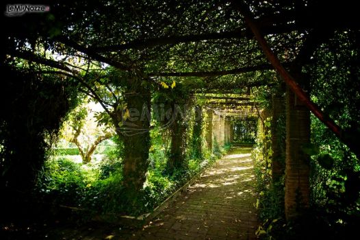 Porticato di rose del giardino della villa - AZETA Foto