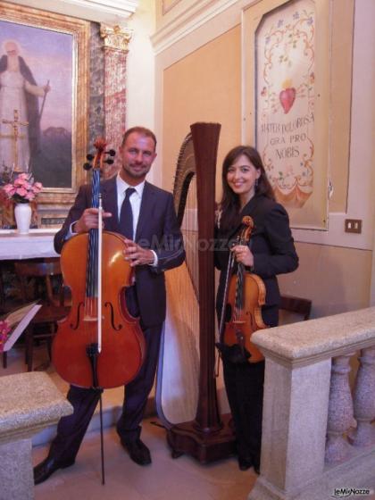 Viola e violoncello