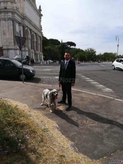 Wedding Dog Sitter in action by Le Cat & Dog Sitter Roma