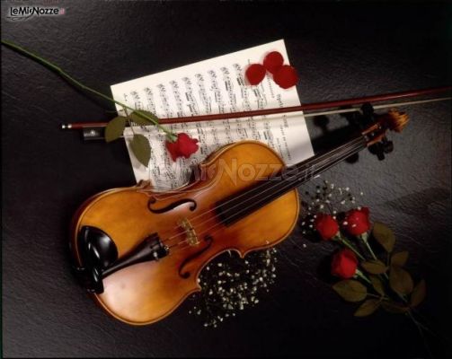 Note di violino per il sì