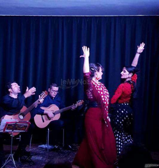 Show latino live - Duo chitarre flamenco con ballerine