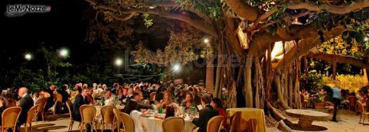 Festeggiamenti del matrimonio sotto un albero secolare a Villa Scalea