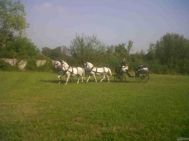 Azienda Marocco - Carrozza landau con cavalli ungheresi