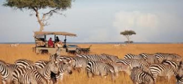 Safari in Kenya - Tiziano Easy Nite